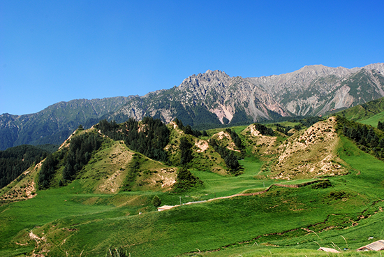 專家解讀國家公園法頒布實(shí)施意義